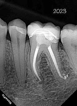 photo-9.jpg