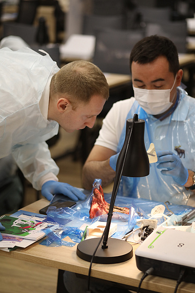 Фундаментальный курс по имплантации3.JPG